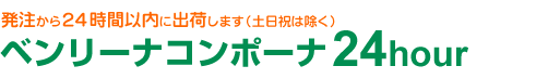 発注から24時間以内に出荷します（土日祝は除く）